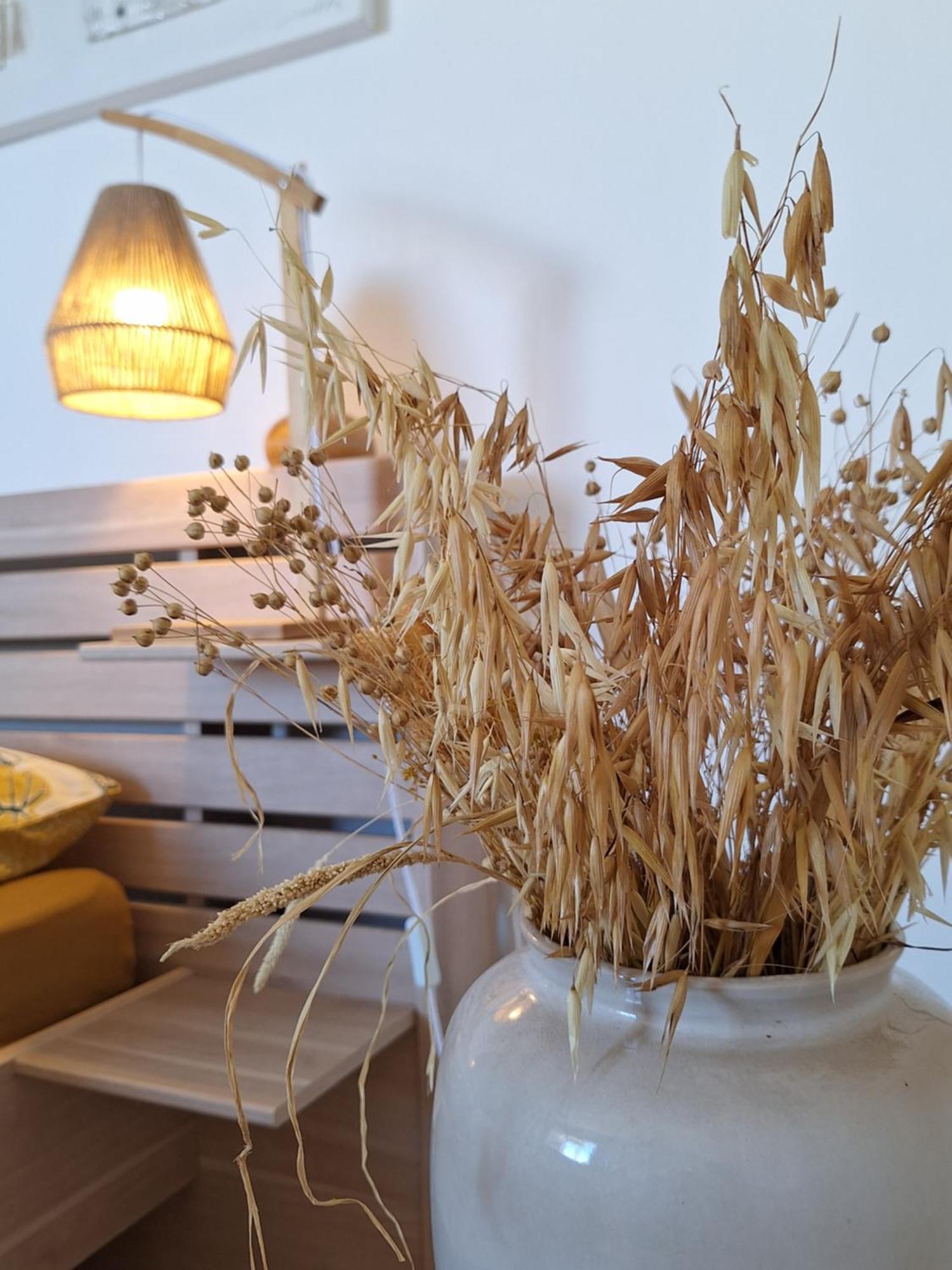 생조세프 Le Cocon De Madana 아파트 외부 사진